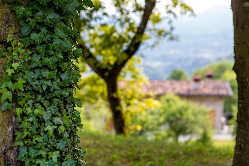 Il Bagnolo Eco Bauernhof Saló